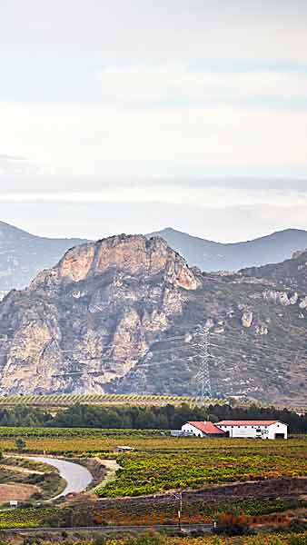 The dramatic Cantabrian Mountains and vineyards in Rioja