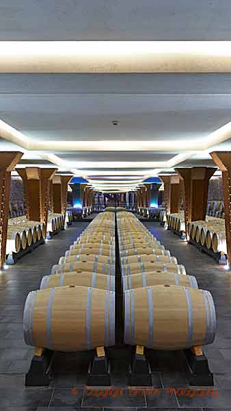 Rows of wine barrels in an modern wine cellar in Rioja