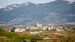 A village, a church, the Cantabrian Mountains and vineyards in Rioja
