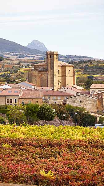 A village, a church and vineyards in Rioja