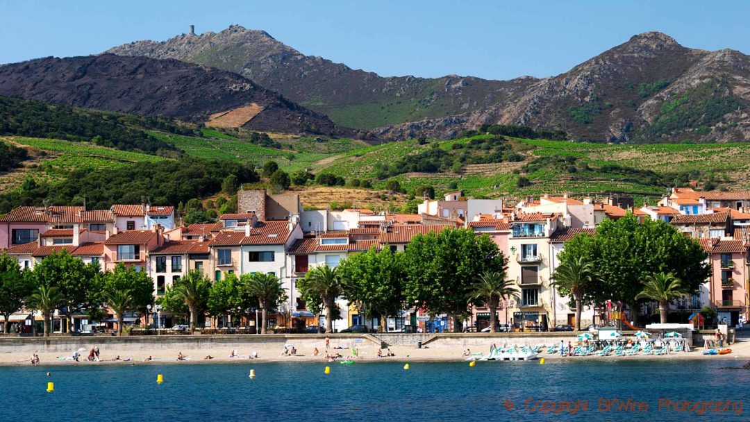 Vineyards, sea and mountains in Collioure, Roussillon