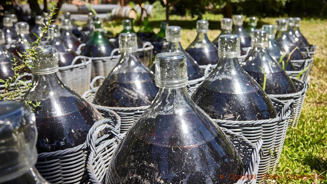 Vin doux naturel (VDN) maturing in the sunshine in demi-johns, Roussillon