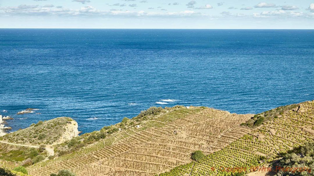 Vineyards by the Mediterranean sea in Roussillon