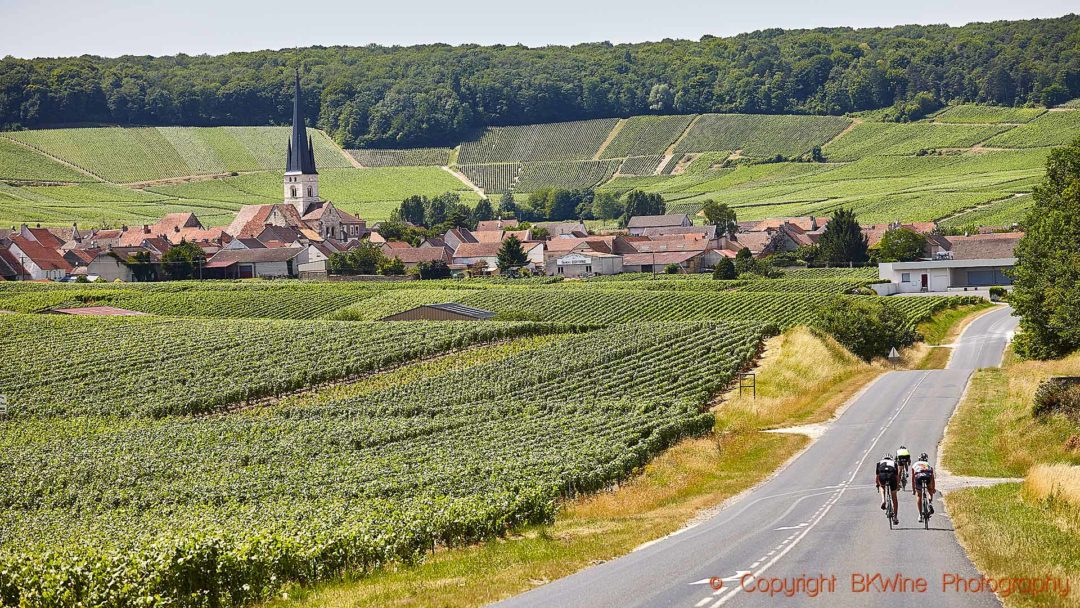 A village, vineyards and cyclist in the Montagne de Reims, Champagne