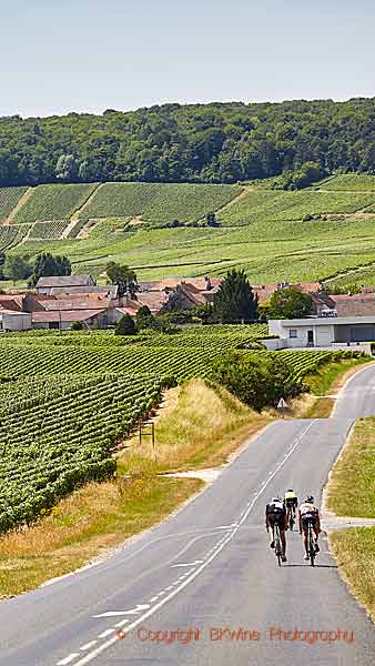 A village, vineyards and cyclist in the Montagne de Reims, Champagne
