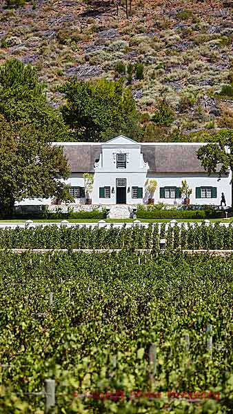 A classic Cape Dutch house in the middle of the vineyards in South Africa