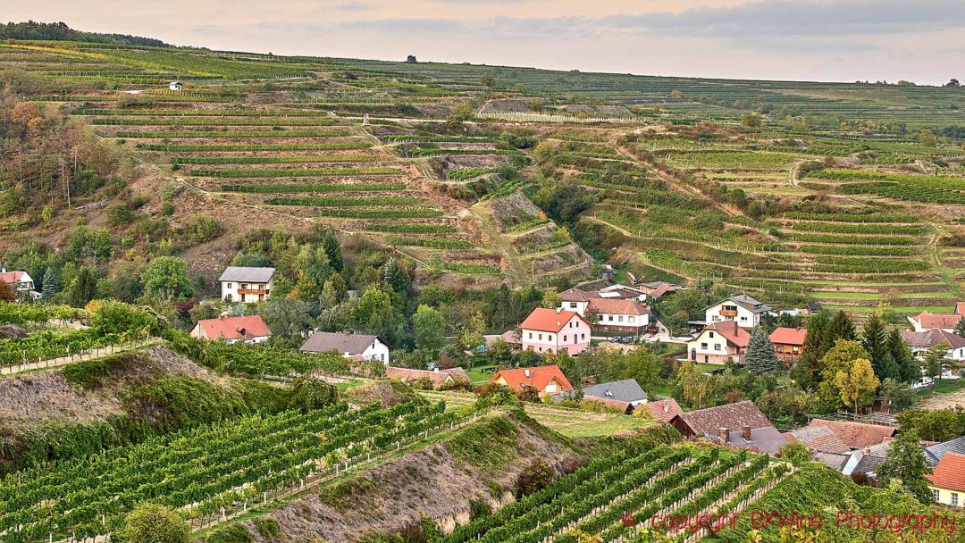 A small village an vineyards on terraces in the Donau (Danube) Valley in Austria