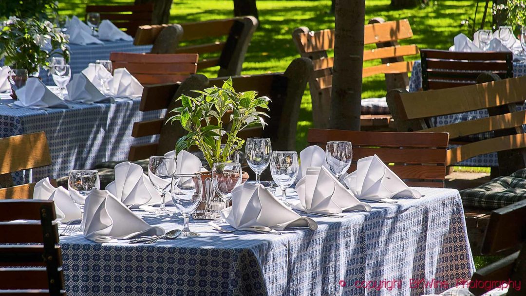 A table set for lunch and wine at a winery in Austria