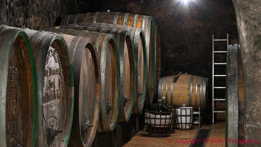 Big and old barrels in a wine cellar in Austria