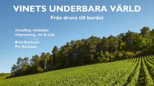 Vinets underbara värld