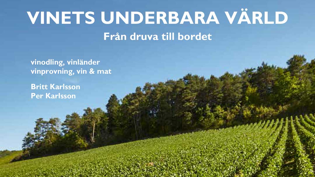 Vinets underbara värld