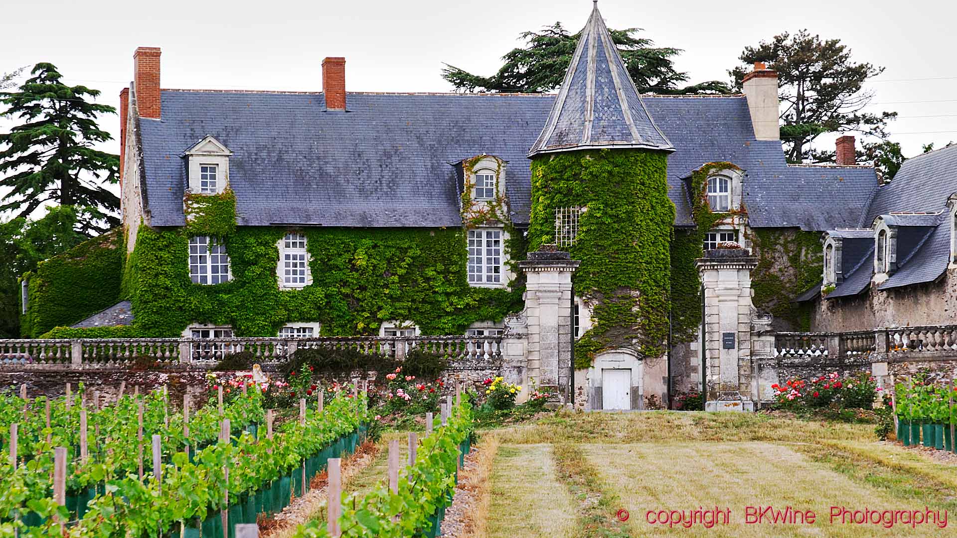 A beautiful small wine chateau with vineyards in the Loire Valley