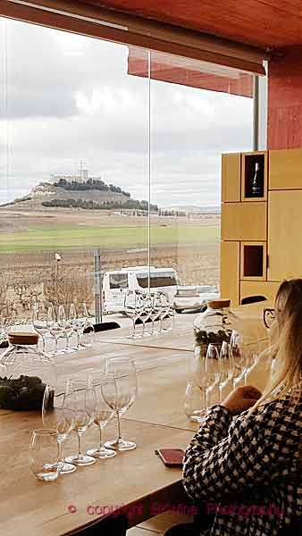 Wine tasting in the tasting room at a winery, overlooking the vineyards, Ribera del Duero