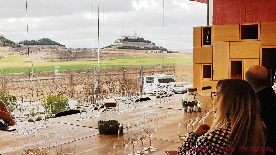 Wine tasting in the tasting room at a winery, overlooking the vineyards, Ribera del Duero