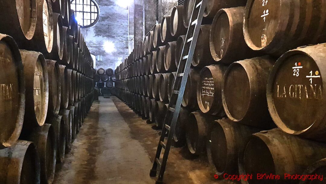 A sherry bodega filled with old barrels in a big winery, Andalusia