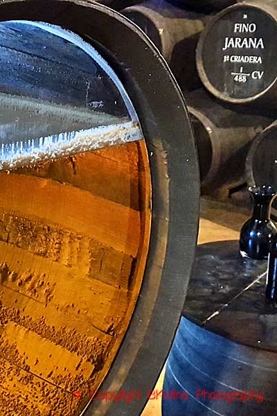 A barrel in a cellar in Jerez de la Frontera, Andalusia, filled with sherry where you can see the "flor" that is on the surface for fino