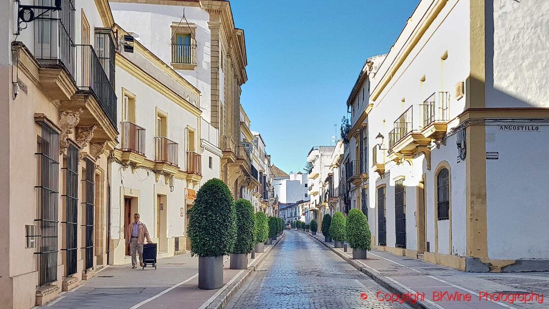 A street in Jerez de la Frontera, the sherry town in Andalusia, with whitewashed houses