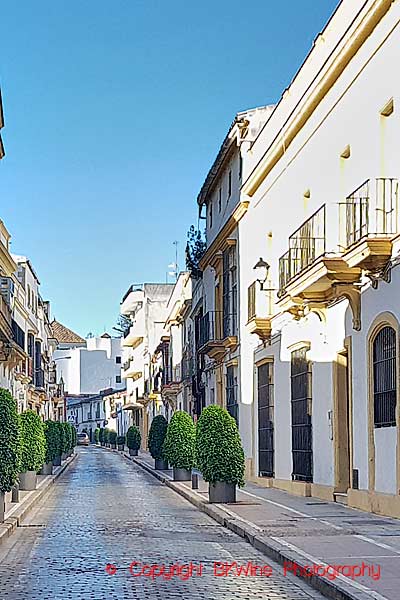 A street in Jerez de la Frontera, the sherry town in Andalusia, with whitewashed houses