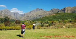 The vineyards at Oldenburg Wines in Stellenbosch, South Africa