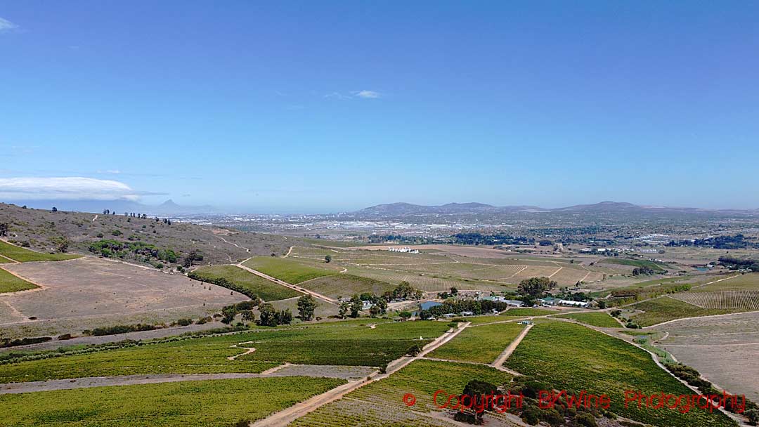 Vineyards at Kaapzicht Wine Estate, Stellenbosch, with a distant view over Table Mountain, Lions Head and Signal Hill, South Africa