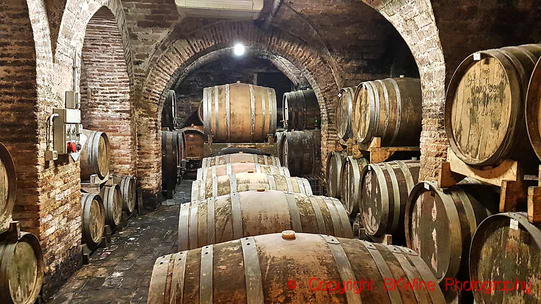 An old wine cellar with barrels at a winery in Le Marche