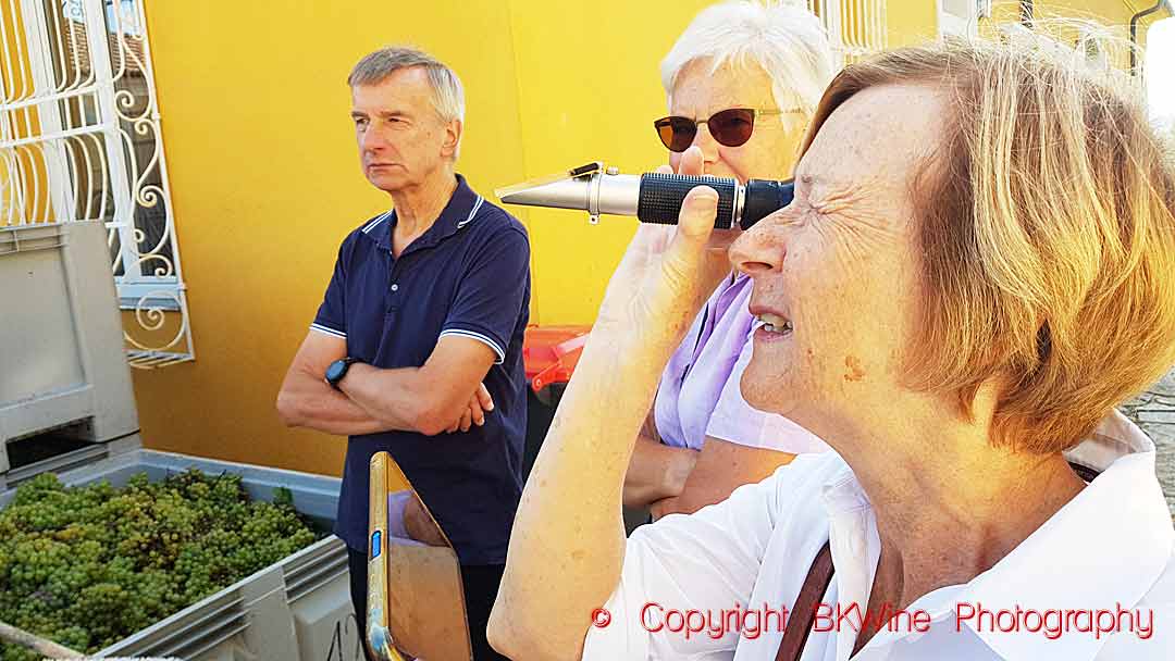 Britt Karlsson, BKWine, looking in a refractometer to check sugar/alcohol