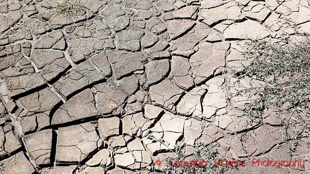 Dry, cracked earth