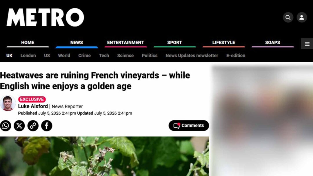 BKWine featured in Metro UK on vineyard heatwaves