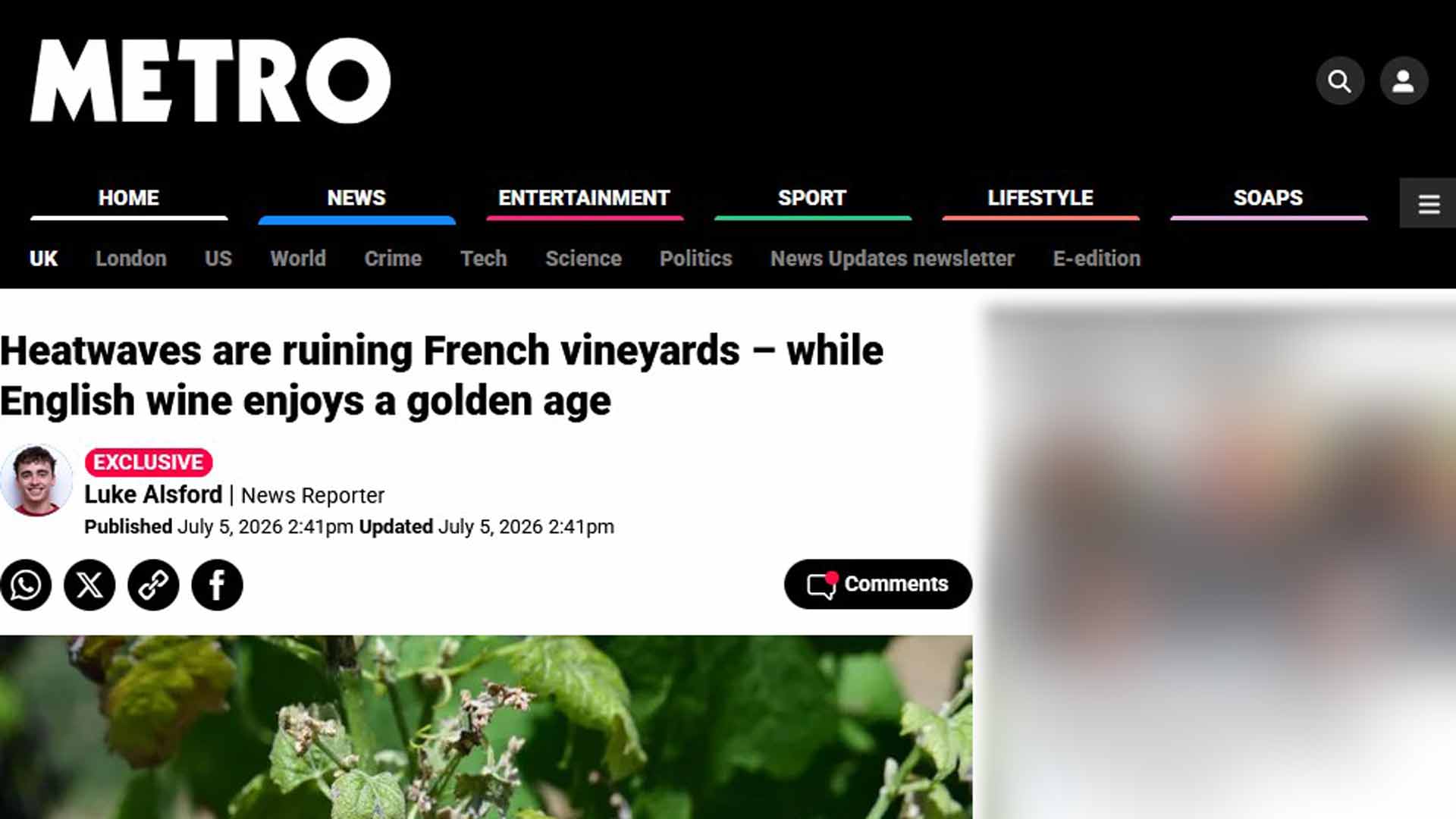BKWine featured in Metro UK on vineyard heatwaves
