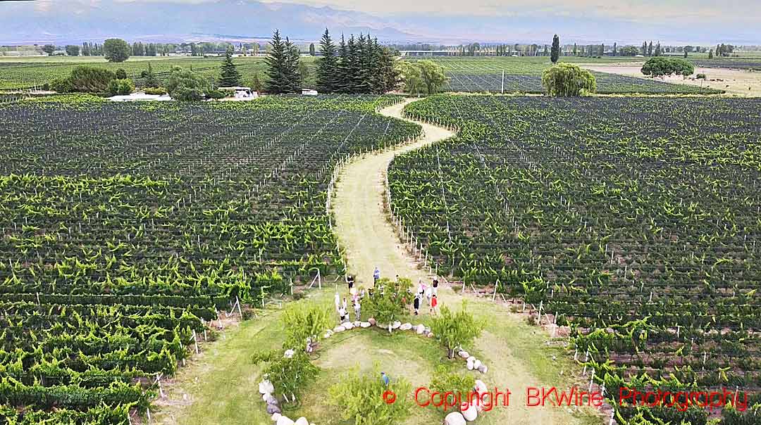A group visiting the vineyards at Finca la Igriega with the Andes in the background, Altamira, Uco Valley, Mendoza, Argentina