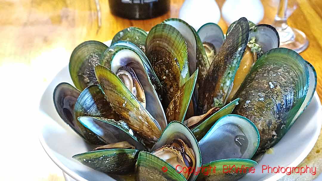 The New Zealand Green Lipped Mussels